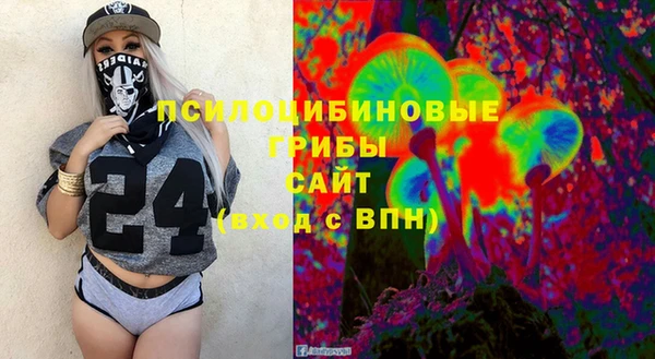 ешки Алексин