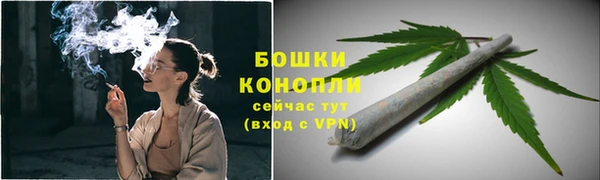 прущий лед Абаза