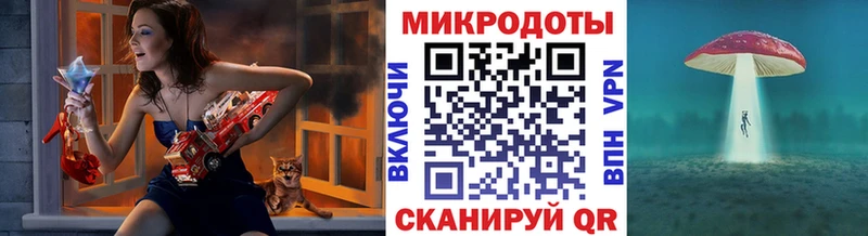 Псилоцибиновые грибы Psilocybe  shop клад  Дубовка 