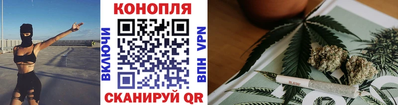 Шишки марихуана план  Дубовка 